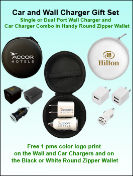 Car and Wall Charger Gift Set Combo